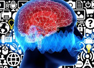 How does the brain exclude other voices during a conversation ?