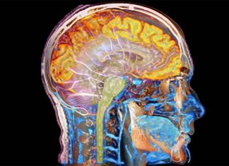 When the brain is under inflammatory conditions a protein called TET2 regulates the immune response