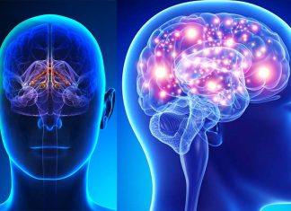 A new method allows researchers to detect serotonin at extremely low concentrations in serum