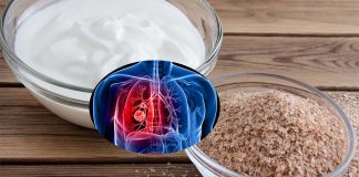 A diet high in fiber and yogurt is associated with a reduced risk for lung cancer
