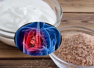 A diet high in fiber and yogurt is associated with a reduced risk for lung cancer