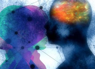 Researchers have discovered the genes linked to schizophrenia
