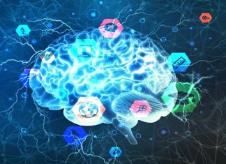 Language : Researchers discovered previously hidden connections between brain layers during reading