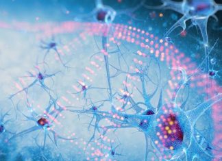 Researchers have identified a gene mutation that causes neurodevelopmental syndrome