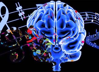 Musical training alters the perception of music