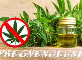 Researchers have discovered that pregnenolone therapy can treat the harmful effects of marijuana