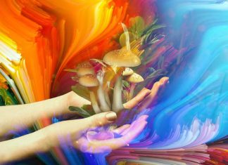 Mindful meditation enhances the positive effects of psilocybin by increasing empathy