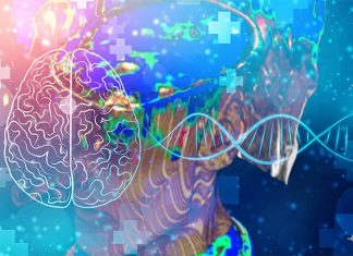 Scientists has identified a circuit in the brain associated with psychiatric disorders
