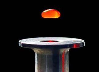 Scientists who developed a device that can rapidly screen blood in minutes to detect disease-causing pathogens