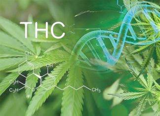 Researchers suggest to introduce standard units for cannabis to make users aware of the dose of THC