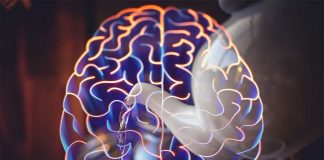 Habitual tea drinking has a positive contribution to brain structure and a protective effect on age-related decline in brain organization