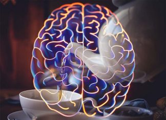 Habitual tea drinking has a positive contribution to brain structure and a protective effect on age-related decline in brain organization