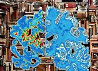 AI finds how we use and process language to better understanding the development of Alzheimer’s disease