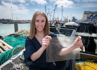 Bioplastic made from fish scales and skin