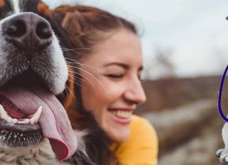 Dog owners experience a reduction in negative mood and feelings of loneliness