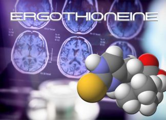 Ergothioneine has promising effects on Alzheimer’s diseas
