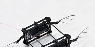 First flight of a microrobot with soft actuators