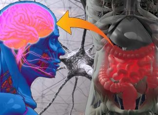 Gut microbiome studies related to Parkinson’s disease should address questions relevant to patient care