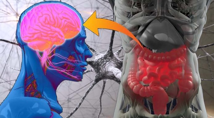 Gut microbiome studies related to Parkinson’s disease should address questions relevant to patient care