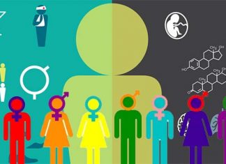 Incorporating sex and gender could help improve scientific research