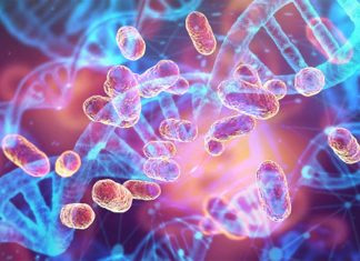 Inflammation drives the progression of neurodegenerative brain diseases