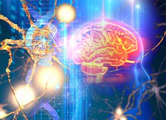 Does Parkinson’s disease (PD) start in the brain or the gut?