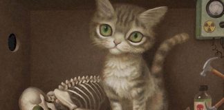 Schrödinger’s cat : There may be a way of escape without killing the animal