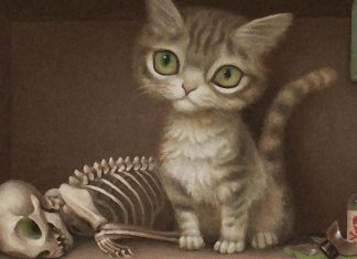 Schrödinger’s cat : There may be a way of escape without killing the animal