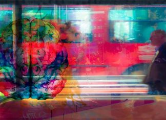 Synesthesia is more prevalent in people with autism