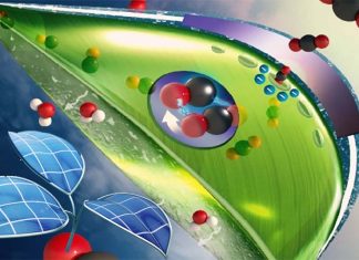 Researchers developed an artificial leaf that turns carbon into fuel