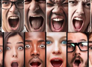 Scientists have identified the brain circuits that enable fast recognition of emotions such as anger and happiness