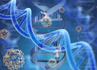 Research have characterized the genetic alterations caused by six therapies widely used for the treatment of cancer