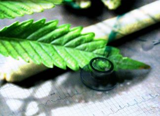 Frequent pot smokers are more than twice as likely to suffer a stroke compared with those who don’t partake