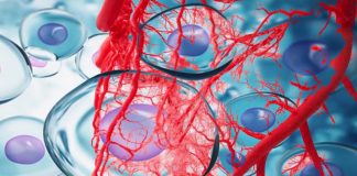 Researchers have developed a way to 3-D print living skin complete with blood vessels