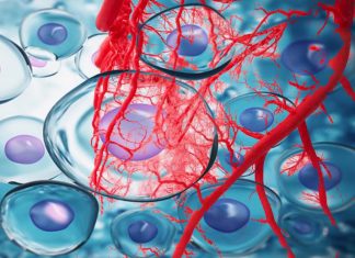 Researchers have developed a way to 3-D print living skin complete with blood vessels