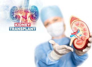 Scientists have successfully implanted a prototype kidney bioreactor