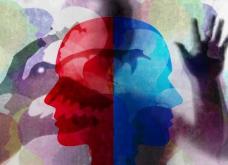 Recent studies have found a high genetic similarity of the psychiatric diseases schizophrenia and bipolar disorder
