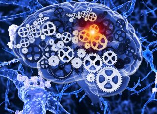 Alzheimer’s disease may have a genetic contribution of 5-10% at most