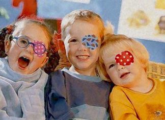 Amblyopia – researchers have identified a crucial component in the visual cortical circuit