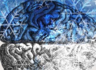 CMS121 and J147 – Two drug that improve memory and slow neurodegeneration associated with Alzheimer’s disease