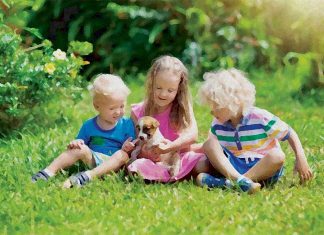 Early childhood exposure to dogs reduces the risk of developing schizophrenia