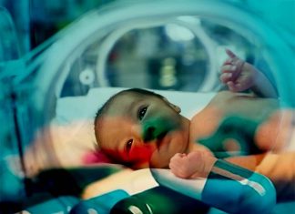 Exposure to antibiotics before birth may impair lung development in premature infants