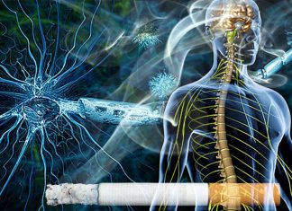 Smoking causes white matter scarring in the brain