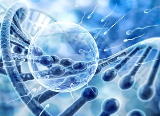 Spontaneous mutations in a father’s sperm may be linked to autism spectrum disorder in their offspring
