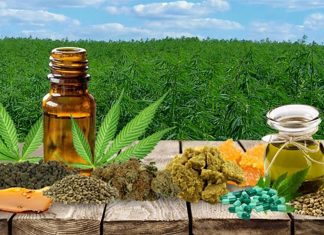 The Israel medical cannabis startup is able to extract all the cannabinoids, terpenes and water-based materials that are in the plant