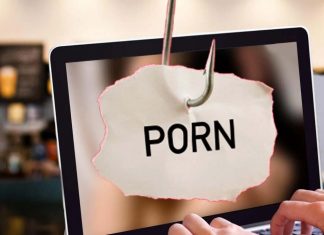 The neurological repercussions of porn consumption