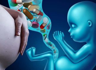 Exposure to antidepressants during the first few weeks of pregnancy has long term implications for sensory processing in the offspring