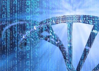 Researchers found an artificial RNA molecule capable of silencing or turning off a targeted gene that blocks ALS degeneration