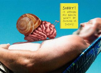 Why does belly fat is bad for thinking ?