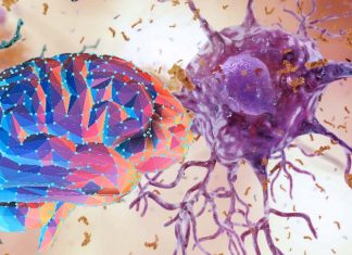 Drugs that tamp down inflammation in the brain could reverse the cognitive decline